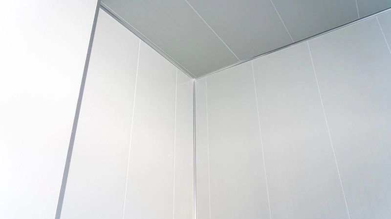 Холодная цепь и логистика 1