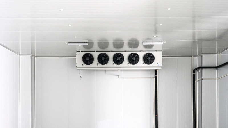 Холодная цепь и логистика 2