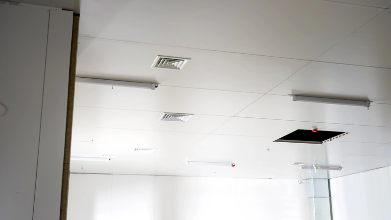 Пищевая промышленность 2