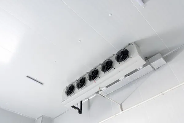 Почему выбирают панели холодной комнаты для ваших потребностей хранения еды?